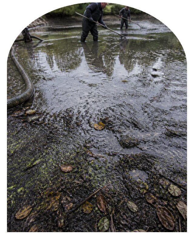 Очистка пруда в Кондопоге от ила мусора и водорослей с вывозом